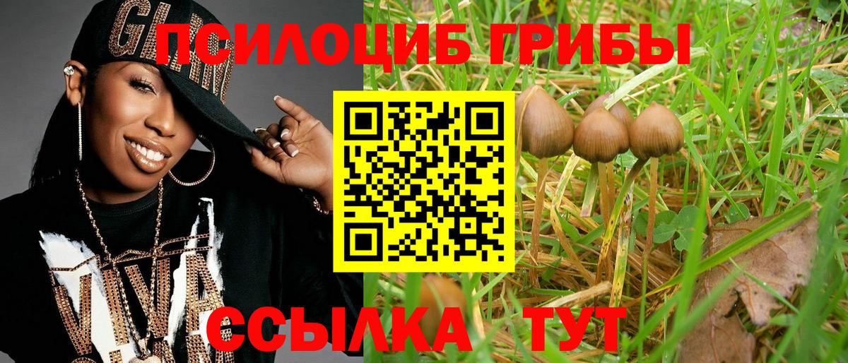 Псилоцибиновые грибы GOLDEN TEACHER  Вход с VPN  Будённовск  Псилоцибиновые грибы Psilocybe 